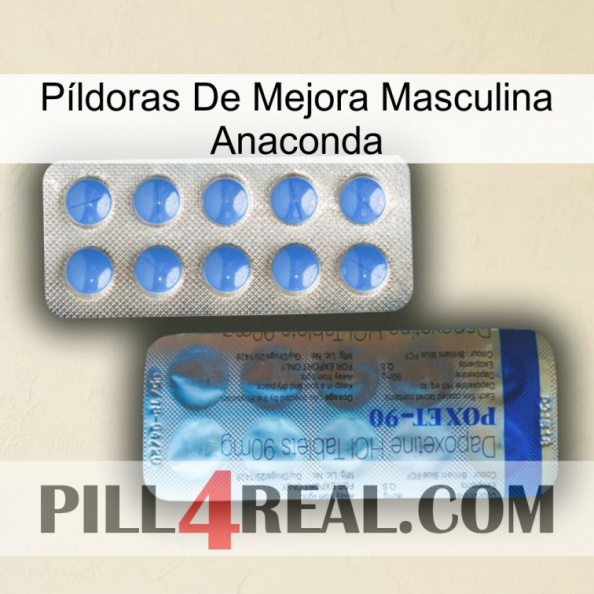 Píldoras De Mejora Masculina Anaconda 40.jpg